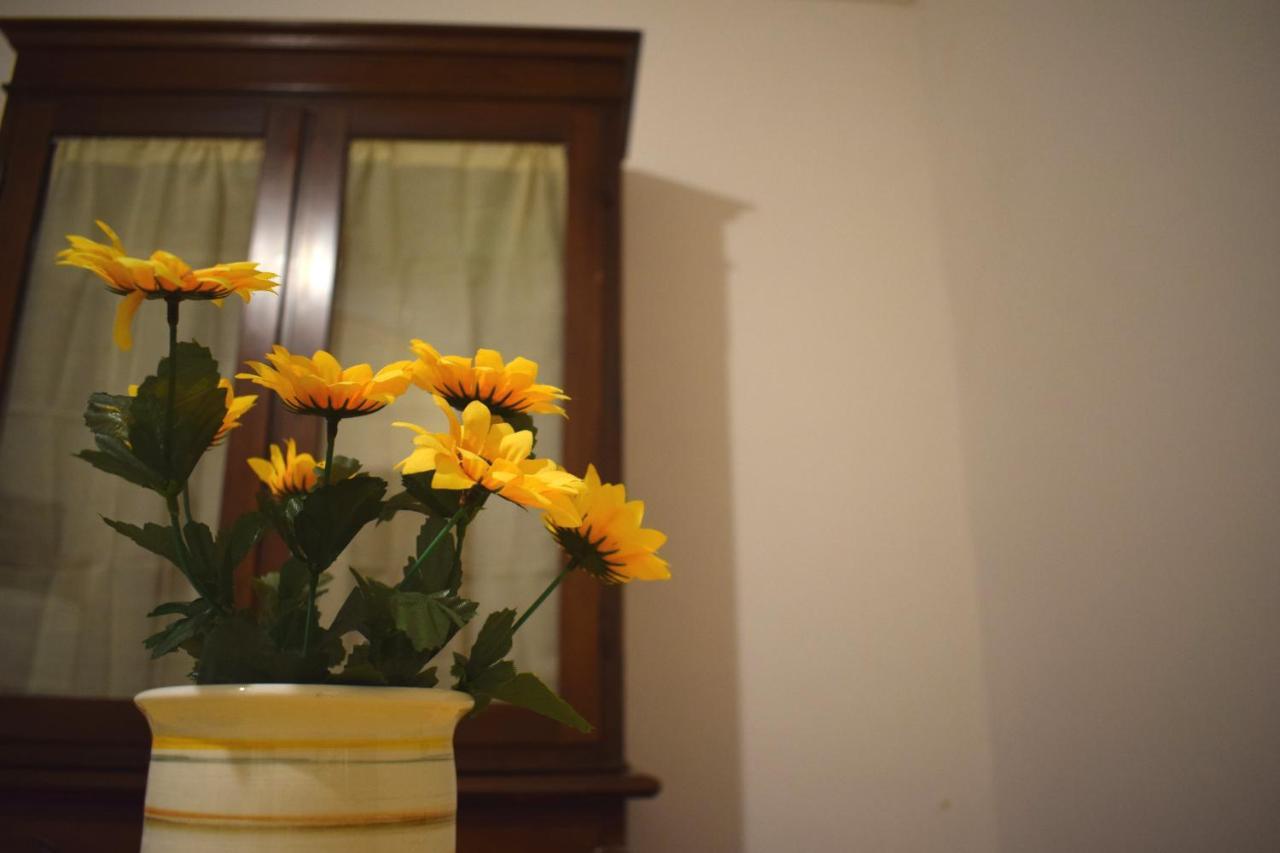 Domus - Casa Vacanza B&B Veroli エクステリア 写真